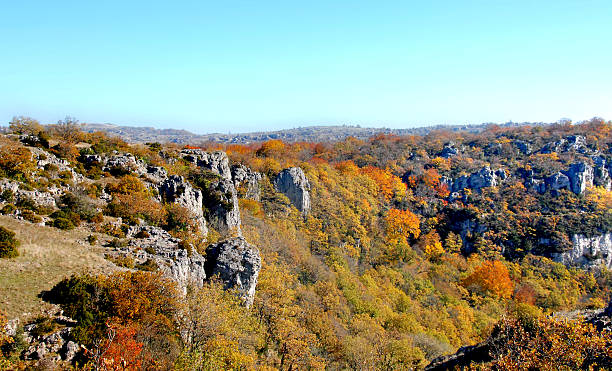 istock The Escandorgue plateau 2245499558