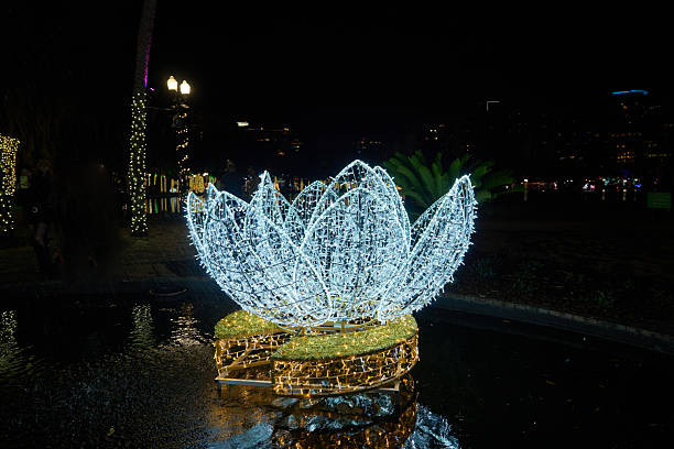 A large lotus light floats in a shallow pond with reflections and lit trees nearby. The festive installation brightens the walkway during a holiday event.