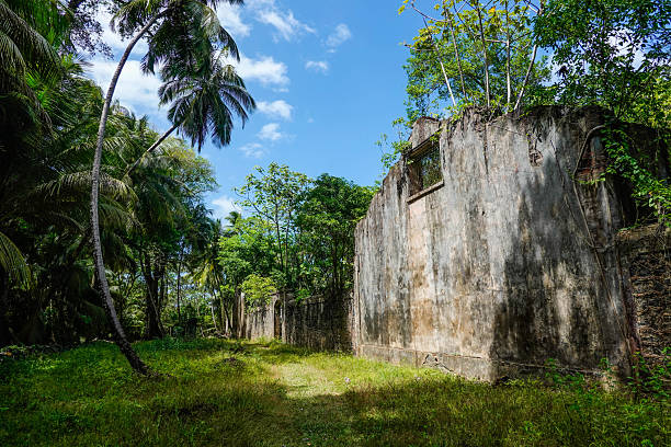 Ruins of the penal colony on Ile Saint Joseph, Salvation Islands, French Guiana