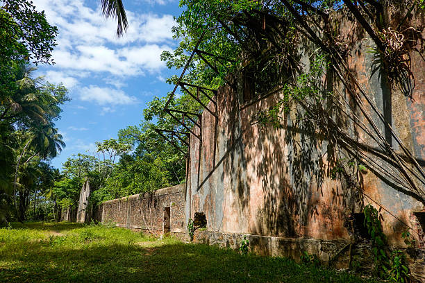Ruins of the penal colony on Ile Saint Joseph, Salvation Islands, French Guiana