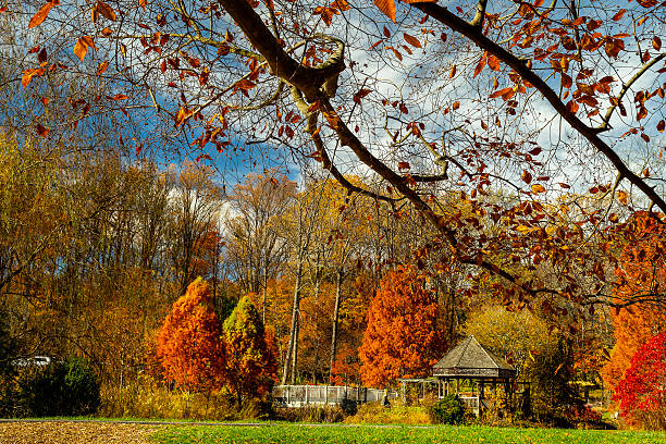 istock Autumn colors in a rural park 2245500184