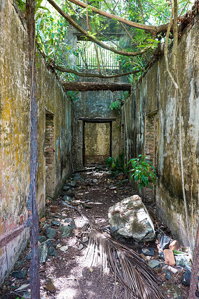 istock Prison ruins on Ile Saint Joseph 2245500229