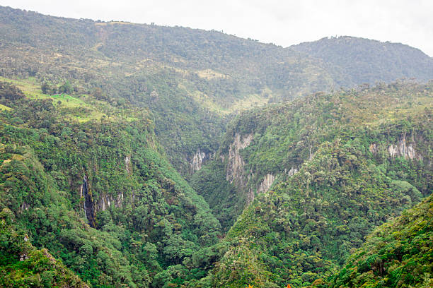 istock Lush Valleys of Purace 2245501862