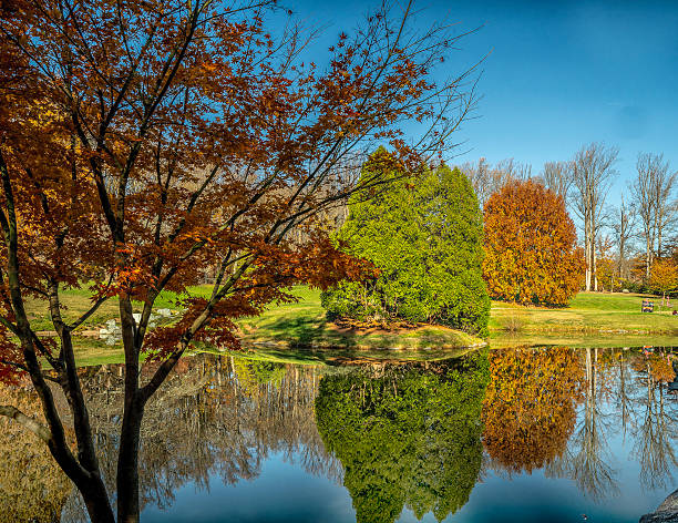istock Autumn scene in a rural park 2245502065