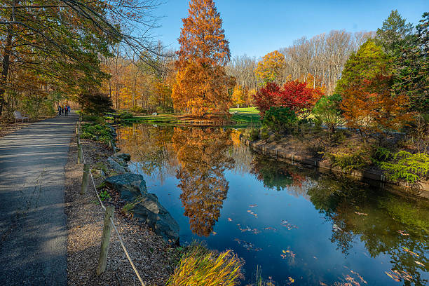 istock Autumn scene in a rural park 2245502097