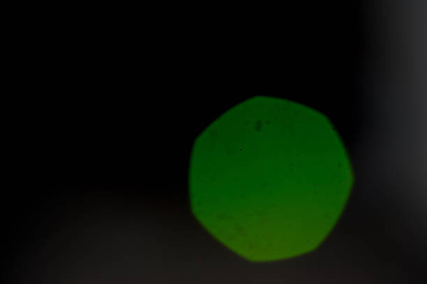 bokeh photography with blurred background
