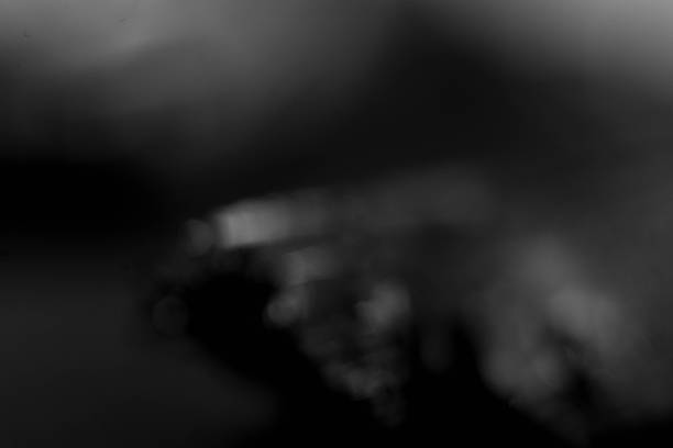istock bokeh photography with blurred background 2245505745