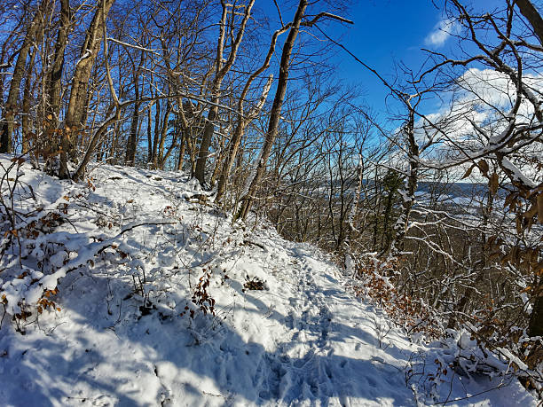 Snowcovered trail under clear sky, serene snowy woodland path with sunlight and footprints