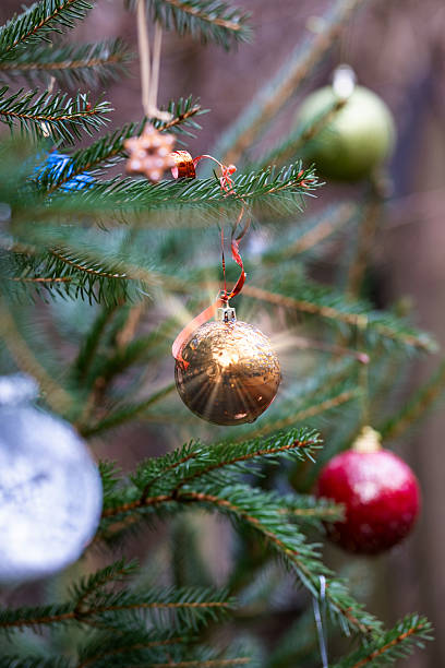 istock textured pine needles with glass ornaments in soft focus, rustic winter scene with decorated pine branch and glass ornaments 2245512653