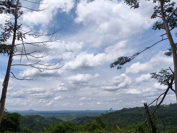 istock Frame View of Tropical Forest Hills Under Cloudy Sky 2245512811