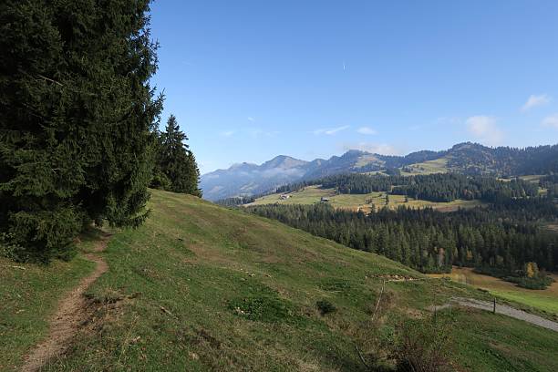 Hiking trail on Kojen ridge in Austria