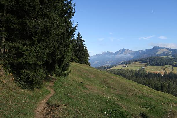 istock Landscape panorama from Kojen ridge in Austria 2245513404
