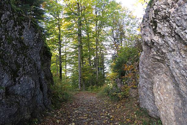 istock Rocks of the Steinernes Tor in Vorarlberg 2245513414