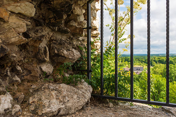 Close up of an ornate French gate with narrow depth of field.