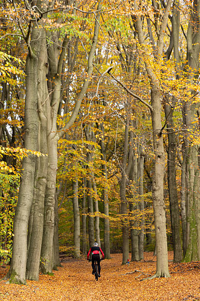 istock Sport in the forest landscape 2245515722