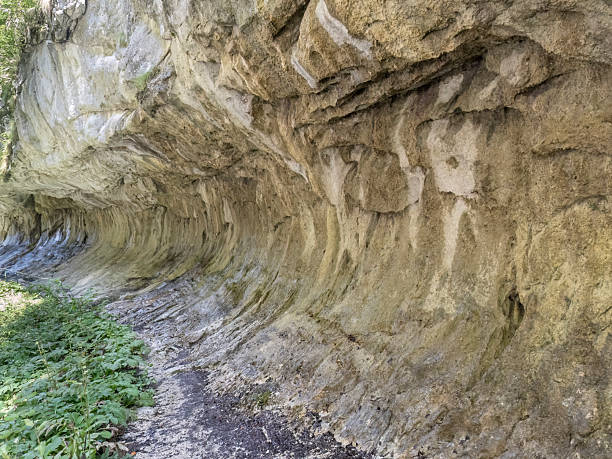 istock Corcoaia Gorge ( Cheile Corcoaia ), Gorj county, Romania 2245518651