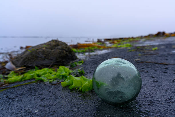 A glass orb rests on the dark beach, surrounded by seaweed and driftwood. The shoreline stretches into the foggy distance, creating an eerie yet beautiful atmosphere at twilight.