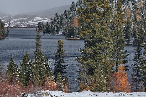 istock The first snow on a flowing lake 2245520711