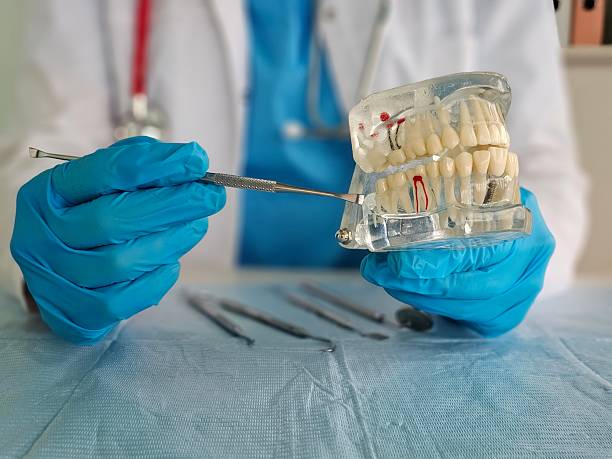 istock Dental professional demonstrating root canal procedure using a dental model in a clinical 2245521930