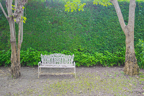 Landscape view of a wooden bench in the garden of a house in the countryside, with trees and a small white fence, on a sunny day