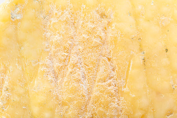 istock Beautiful texture of aged cheese showing rich color and unique surface patterns 2245522657