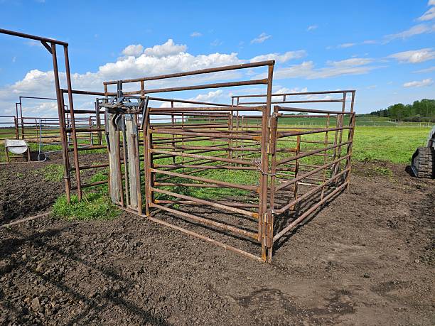 istock Pasture coral penning. 2245526696