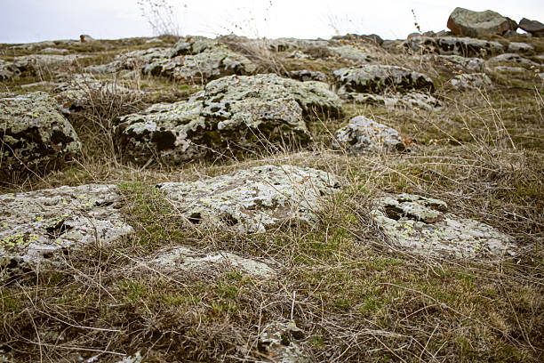 Rocky soil and dry grass close-up, ground in Turkey. High quality photo