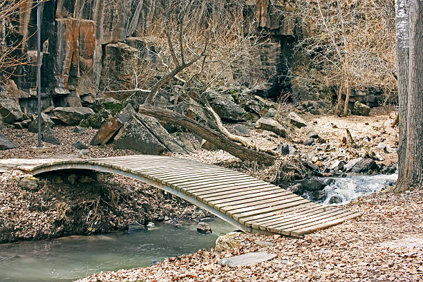 A wooden bridge over a river in an autumn forest. High quality photo