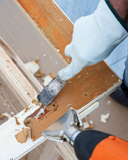 istock Carpenter at work, restoring an old wooden window. Carpentry. 2245531715