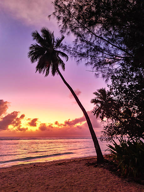 istock Tropical Sunset in Rarotonga 2245534814