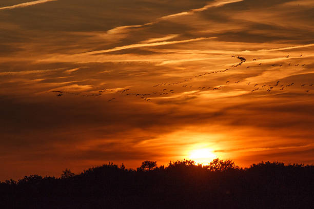 istock Sunset in Zingst, Mecklenburg-Vorpommern, Germany 2245535031