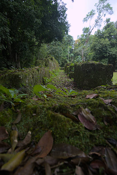istock Lost Mayan city covered by thick forest vegetation 2245540284