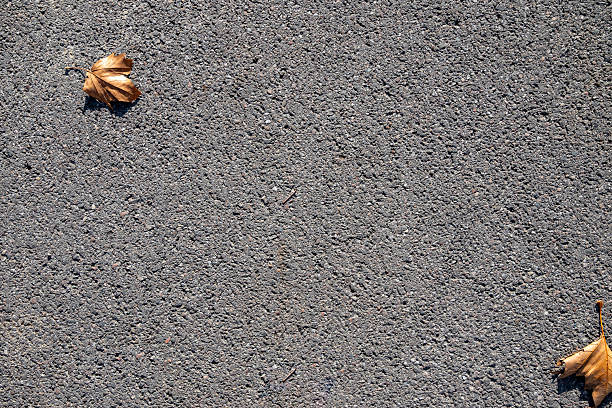 Dry brown autumn leaves resting on a dark gray asphalt surface