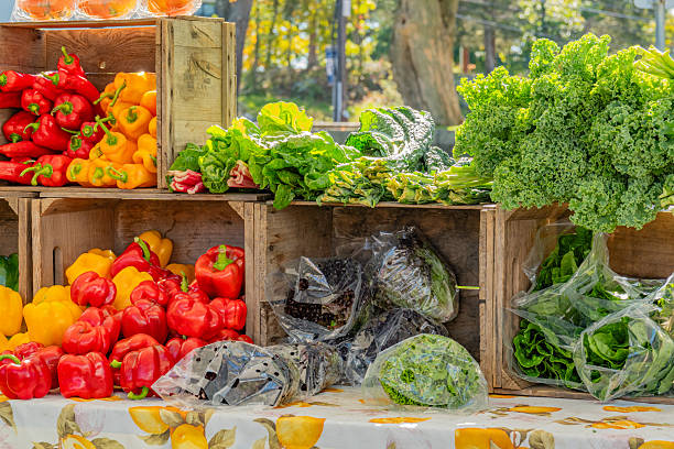 istock Fresh Vegetables at Farmer's Market 2245543876