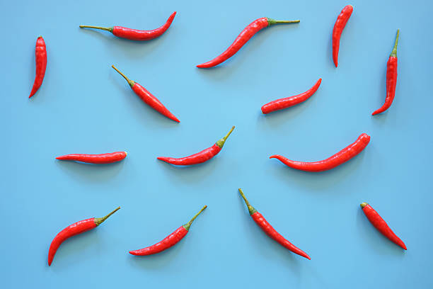 istock pattern of fresh red chili arrange on blue background 2245547571