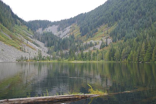 Tranquil Mountain Lake with Evergreen Forest Reflections
