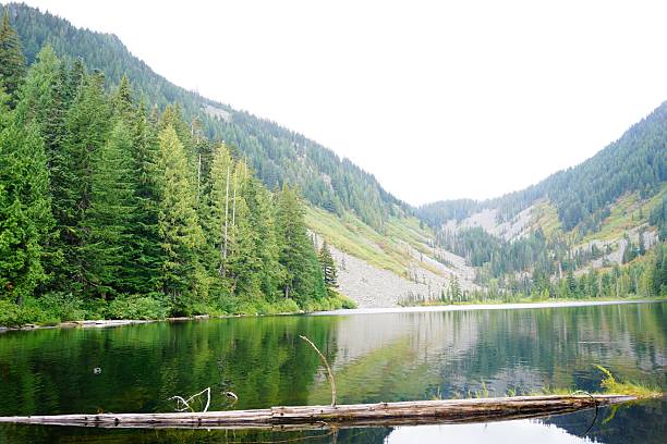 A calm alpine lake rests among towering evergreen forests and rugged mountain slopes. The still, reflective water mirrors the surrounding trees and ridgelines, creating a tranquil wilderness atmosphere. Perfect for illustrating themes of serenity, outdoor adventure, and pristine natural beauty.