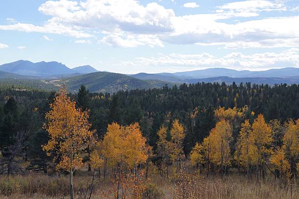 istock Autumn Forest Landscape with Mountain View 2245550567