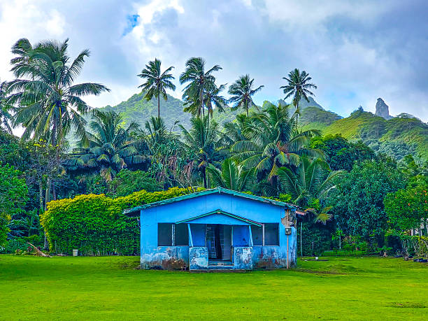 Blue house with a tropical background of palm trees in Rarotonga, Cook Islands