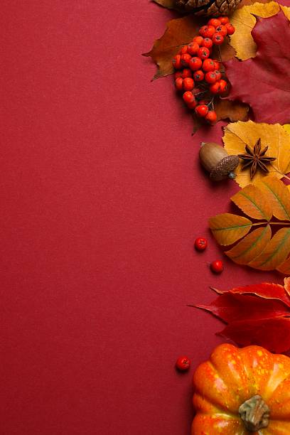 istock Vertical autumn frame of colorful leaves on red background 2245551904