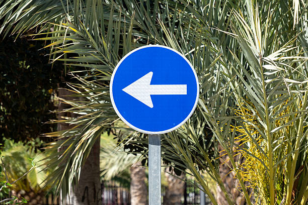 Left turn arrow sign among palm trees in sunny outdoor setting.