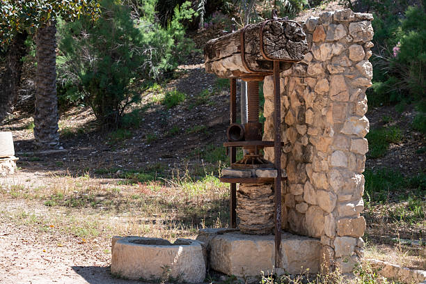 istock Historic olive press in sunlit mediterranean garden setting 2245554403