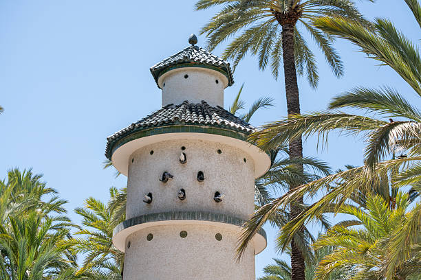 Historic tower surrounded by tall palm trees under a clear blue sky.