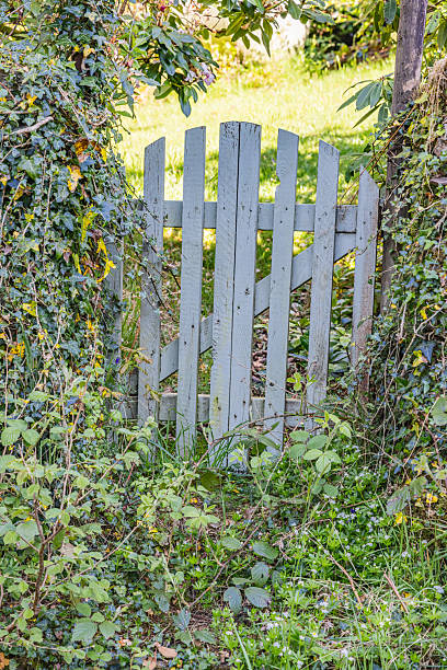 istock Gate in an overgrown garden. 2245555723