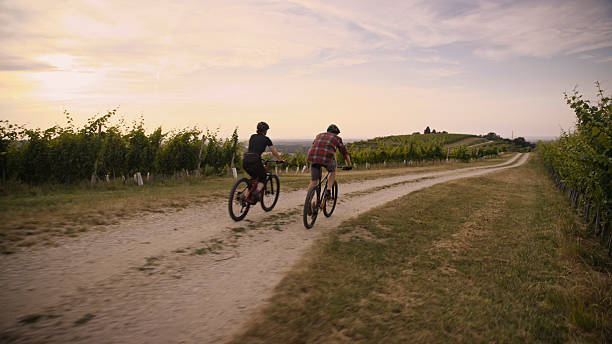 istock Mature Caucasian Cyclists Enjoying a Scenic Ride Through Vineyard Landscape 2245558700
