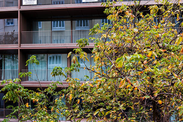 A modern apartment building with glass balconies partially hidden behind autumn-colored leaves in Lisbon, Portugal