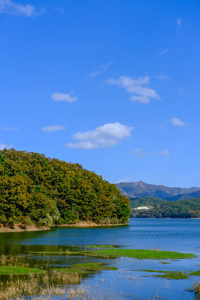 istock Vertical Clear Blue Sky and Reservoir with Forest in South Korea 2245562447