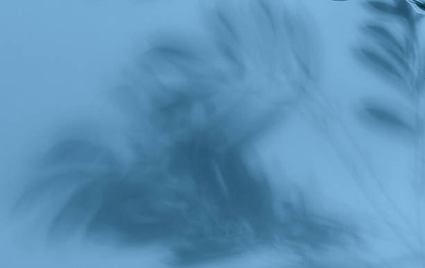 istock Blurred shadows of leaves are cast across a blue background 2245562779