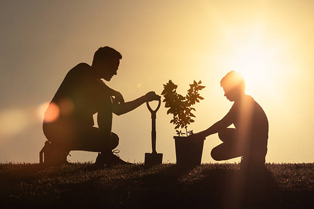 istock Father and son gardening, planting tree together. 2245567582