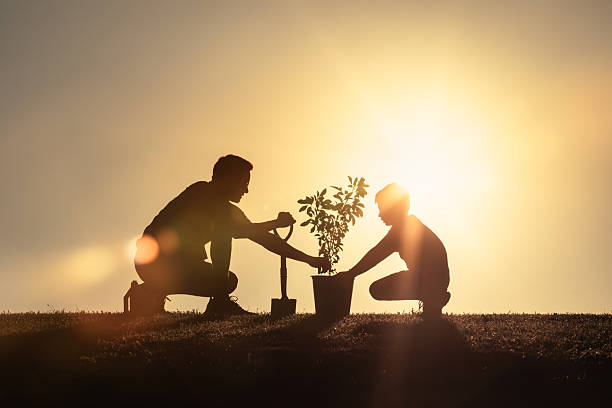 istock Father and son planting a tree together at sunset. 2245567591